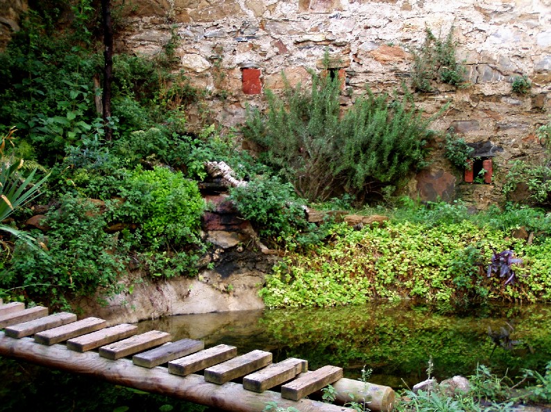 Il Laghetto del Centro di Entomologia - Piombino (LI)